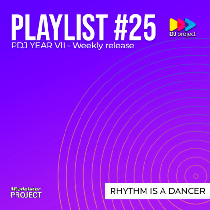 Playlist #25 - Rhythm Is A Dancer
