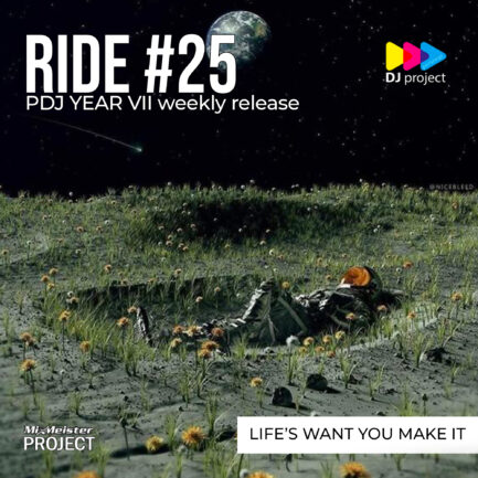 Project #25 - Life's Want You Make It