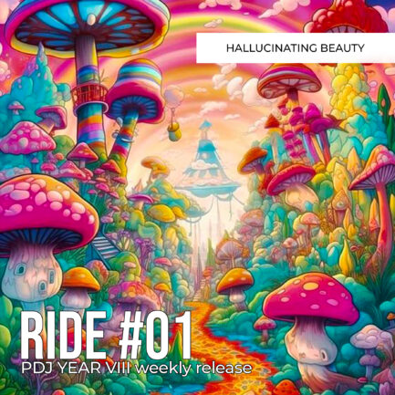 PDJ Project - Year VIII - Project #01 - Hallucinating Beauty
