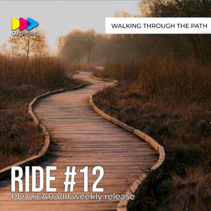 PDJ Project - Year VIII - Project #12 - Walking Through The Path