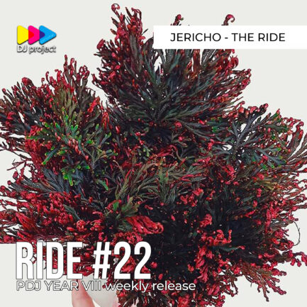 PDJ Project - Year VIII - Project #22 - Jericho - The Ride