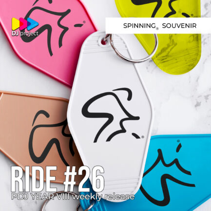 PDJ Project - Year VIII - Project #26 - Spinning Souvenir