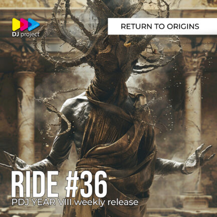 PDJ Project - Year VIII - Project #36 - Return To The Origins