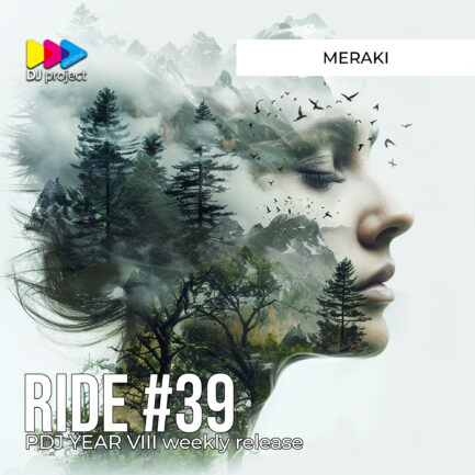 PDJ Project - Year VIII - Project #39 - Meraki