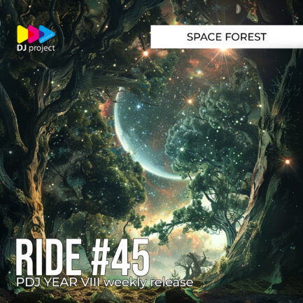 PDJ Project - Year VIII - Project #45 - Space Forest