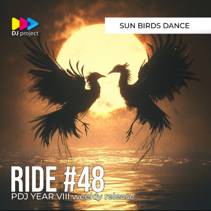 PDJ Project - Year VIII - Project #48 - Sun Birds Dance