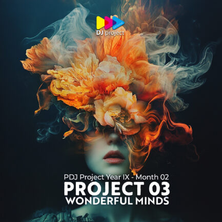 PDJ Project - Year IX - Month 02- Project 03