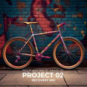 PDJ Project - Year IX - Month 09 - Project 02 - Recovery Mix